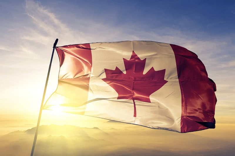 加拿大人口普查發佈，移民成為專業技術人員